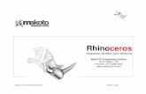 Modelador NURBS para Windows · Apostila de Treinamento Rhinoceros Página 1 de 58 Rhinoceros Modelador NURBS para Windows w MAKOTO Computação Gráfica Porto Alegre – RS Fone/fax: