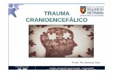 aula 5 - TCE [Modo de Compatibilidade] · • Relacionar a biomecânica do trauma com a ... • Simples ou múltiplas no espaço intra-craniano e pode ... • BH cuidadoso