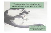 Tratamento das patologias vestibulares segundo a MVTC · Orientação da cabeça e do corpo no espaço; Audição. ... sem histórico de trauma; ... VG15, B12, B18, VG4, B23, BH,