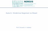 Aula 6: Dinâmica Regional no Brasil - usp.br¢mica_Regional.pdf · Barreiras regionais . 19 ... responsabilidade poderia ser atribuída ao governo Hirschman ... do mundo, através