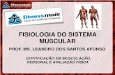 FISIOLOGIA DO SISTEMA MUSCULAR - fitnessmais.com.brfitnessmais.com.br/.../musculacao/Aula-Fisiologia-Muscular-2012.pdf · certificaÇÃo em musculaÇÃo, personal e avaliaÇÃo fÍsica