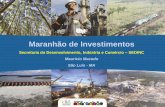 Maranhão de Investimentos - RENAI - Rede Nacional de ...investimentos.mdic.gov.br/public/arquivo/arq1320432830.pdf · Municípios Produtores de Soja do MA ... IBGE 2010, Pesquisa