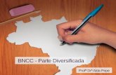 BNCC - Parte Diversificadaconselhodeeducacao.ba.gov.br/.../File/BNCC_parte_diversificada.pdf · fundamental e do ensino médio devem ter: base nacional comum, a ser complementada
