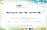 Interações Biosfera-Atmosfera - FAPESP · sobre os ecossistemas da América do Sul serão amplificados ou ... SOS Mata Atlântica ... Slide cedido por Manoel Cardoso.