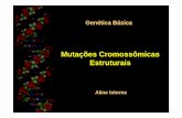 Mutações Cromossômicas Estruturais - uenf.br · Definição: “Mudança substancial na estrutura do cromossomo, ... Resultado da duplicação de um pequeno fragmento na cromátide