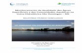 Monitoramento da Qualidade das Águas Superficiais e das ... · Usina Hidrelétrica São Domingos – MS RELATÓRIO TÉCNICO CONCLUSIVO ... de forma a aproveitar a queda natural do