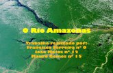 O Rio Amazonas · A capital do Estado do Pará está situada em um dos braços do rio Amazonas. É banhada pelo rio Guamá ao sul e pela Baía do