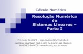 Resolução Numérica de Sistemas Lineares Parte Ijorge.cavalcanti/6CN_Sistemas_Parte1.pdf · 2 Sistemas Lineares Muitos problemas de matemática numérica são modelados em termos