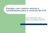 Estudos com insetos vetores e contribuições para o ... · contribuições para o controle da CVC João Roberto Spotti Lopes ... Biofilme bacteriano na membrana do diafragma ...