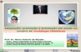 Adaptação: promoção e prevenção em saúde no cenário de ... · Mudança do Clima, ... Em 2008, os 193 Estados que integram a Assembleia ... Brasília: Organização Pan-Americana