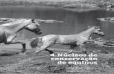4.Núcleos de conservação de equinos - Agropedia brasilisainfo.cnptia.embrapa.br/digital/bitstream/item/156597/1/Sandra... · ecológicas do Pantanal, fruto da ação da seleção