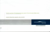 Aplicações Pedagógicas para Terminais Móveisdigituma.uma.pt/bitstream/10400.13/459/1/MestradoValentimFreitas.pdf · Composição do E-Learning ... CMS – Content Management System.