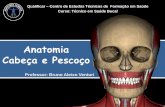 Anatomia Cabeça e Pescoço - portaldoaluno.bdodonto.com.brportaldoaluno.bdodonto.com.br/atualiza/portalaluno/aulas/... · Cabeça e Pescoço . Sobotta - Atlas de Anatomia Humana