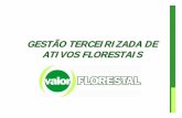 GESTÃO TERCEIRIZADA DE ATIVOS FLORESTAIS · Proteção Florestal mil ha 80 89,0 Área total mil ha 144 148,0 Logística pátio mil m3cc 850 450,0. Pag. 7 GESTÃO DE ATIVOS FLORESTAIS