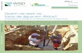 Quem vai abrir os furos de água em África?documents.worldbank.org/.../469110PORTUGUE1em11frica1Portuguese.pdf · empresas de perfuração comerciais recebem pouco ou nenhum apoio,