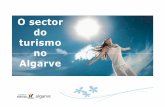 O sector do turismo no Algarve - apcer.pt · de Pêra encerrou no período de 17 a 29 de Dezembro e o PT do Aeroporto de Faro só iniciou o registo de atendimento a partir de Julho