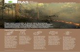 Rede Sustentável incêndios · nos dias de hoje há riscos maiores de queimadas saírem do ... desenvolvidas pela RAS nos municípios de Belterra, Mojuí dos Campos, Paragominas