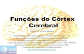 Funções do córtex cerebral - Fonovim · 20/01/2015 . Processamos a fala, que chega ao cérebro através dos ouvidos, pensamos e produzimos outros ... Estudo Dirigido Funções