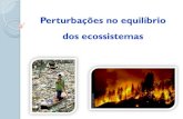 Perturbações no equilíbrio dos ecossistemas · Perturbação dos ecossistemas pode ser por Causas humanas Causas naturais Poluição Atmosfera ... orgânica Crude pode ser causada