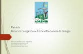 Plenária Recursos Energéticos e Fontes Renováveis de Energia · Instituto de Recursos Naturais –IRN Universidade Federal de Itajubá -UNIFEI . 1. Fontes e Usos de Energia 2.