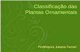 Classificação das Plantas Ornamentais - ltavares.com.br§ão - ornamentais.pdf · Tipos de Gramas Batatais • Folhas grandes e largas, com pêlos; • Excelente para formação