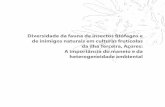 Diversidade da fauna de insectos ﬁtófagos e de inimigos ...jhortal.com/pubs/2005-Santos_etal_In_Interfruta-a.pdf · Neste trabalho estuda-se a biodiversidade de artrópodes ...