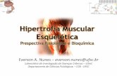 Hipertrofia Muscular Esquel©tica - .Hipertrofia: - Hiper: acima, mais do que o normal - Trofia: