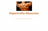Hipertrofia Muscular - Bruna Oneda · Hipertrofia muscular A hipertrofia de fibras musculares individuais, com o treinamento de força, é resultante de um aumento da síntese de