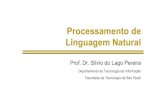 Processamento de Linguagem Natural - IME-USPslago/pl-12.pdf · Linguagens formais são linguagens artificiais (tais como lógica proposicional ou Pascal) que podem ser matematicamente
