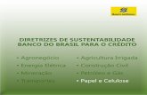 DIRETRIZES DE SUSTENTABILIDADE BANCO DO BRASIL … · O setor de papel e celulose brasileiro apresentou um crescimento médio anual, entre os anos de 1970 e 2013, de 7,1% para celulose