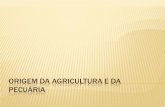 Origem da Agricultura e da Pecuária - Professor Bruno · Com a urbanização e a industrialização, a ... Brasileira de Pesquisas Agropecuárias -, ... número de colheitas por