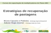 Estratégias de recuperação de pastagens - Sistema Famato · Estratégias de recuperação de pastagens Bruno Carneiro e Pedreira ... assegurar a formação de uma pastagem uniforme,