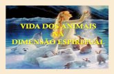 Os Animais na Vida Espiritual · cenas de sofrimento, sem retirar as sensações que servirão de ... intermediária como seres espirituais da floresta, zelando pelos animais. Saindo-se