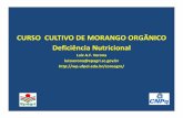 CURSO CULTIVO DE MORANGO ORGÂNICO …wp.ufpel.edu.br/consagro/files/2011/07/Curso-cultivo-de...Title (Microsoft PowerPoint - Apresenta\347\343o SINTOMAS DE DEFICI\312NCIAS Nutrientes