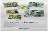 Manual de Produção de Hortaliças Tradicionais · O cultivo das hortaliças tradicionais no Brasil é feito predominantemente por agricultores familiares, muitos deles caracterizados
