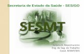 SES/GO SESMT - Controle de Acessos · Acidentes. PROGRAMAS Segurança do Trabalho Programa de Prevenção de Riscos Ambientais - PPRA Programa de Controle Médico de Saúde Ocupacional