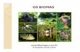 OS BIOMAS - tiberiogeo.com.br · A MATA DE ONDE EU VIM –2003 Guilherme Arantes ... O termo Bioma (do grego Bio = vida + Oma = grupo) foi proposto por ... 1.Explique o que vem a