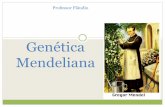 Genética Mendeliana - Professor Fláudio (ATUALIZANDO · Quem determina o sexo do filho é o homem, pois, possui cromossomos diferentes X e Y e a mulher só pode entrar com o X.