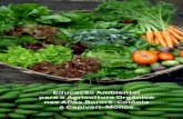 Educação Ambiental para a Agricultura Orgânica nas APAs ...5elementos.org.br/site/wp-content/uploads/2013/02/PUBLICACAO_2010... · Corte a parte da terra ao meio, sendo esta metade