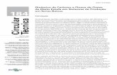 Dinâmica de Carbono e Fluxos de Gases de Efeito Estufa em ...ainfo.cnptia.embrapa.br/digital/bitstream/item/170506/1/Circular... · 2 Dinâmica de Carbono e Fluxos de Gases de Efeito