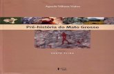 Pré-Historia do Mato Grosso - caraa.fr · ORGANIZADORA Águeda Vilhena Vialou Pré-história do Mato Grosso Volume 1 SANTA EL INA edUSP