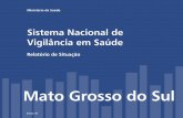 Mato Grosso do Sul - bvsms.saude.gov.brbvsms.saude.gov.br/bvs/publicacoes/ms.pdf · Distribuição percentual de óbitos dados diretos foi, para Mato Grosso do Sul, por causas mal