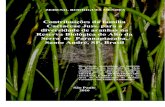 Contribuições da família Cactaceae Juss. para a ...arquivos.ambiente.sp.gov.br/pgibt/2018/05/zedenil_rodrigues_mendes... · Maria Margarida da Rocha Fiuza de Melo, ... Dr. Ricardo