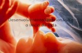 Desenvolvimento Embrionário e o Início da Vida · “Antes que eu te formasse no ventre materno, eu te conheci, e antes que saísses da madre, te consagrei, e te constituí profeta