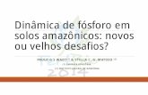 Dinâmica de fósforo em solos amazônicos: novos ou ... · Reorganização do sistema de pesquisa agropecuária brasileiro ... Menor tamanho das hifas de micorrizas. O conhecimento
