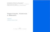 Organização, Sistemas e Mé · PDF fileosos instrumentos da área de OSM; elementos básicos de ergonomia; e as etapas de implementação de processos