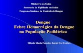 Dengue na Criança - saude.rs.gov.br20-%20FHD%20na%20... · Dengue na Criança Sinais e Sintomas Clássicos Sinais Inespecíficos: - apatia ou sonolência - recusa da alimentação