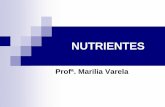 NUTRIENTES - ifcursos.com.br · lipÍdios grupo de compostos quÍmicos orgÂnicos que compreendem os triglicerÍdeos, fosfolipÍdios e esterÓides sÃo esteres de Ácidos graxos.