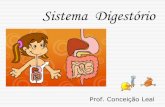 Sistema Digestório - profbiologia.files.wordpress.com · 3) Digestão das GORDURAS((óleo, azeite, lipídios presentes nas carnes, no leite e derivados...) Início e final: INTESTINO