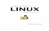 Introdução ao Sistema Operacional LINUX - mgate.com.br · Para ter um Sistema Operacional funcional você precisa de um shell , compiladores, bibliotecas e etc". Do outro lado o